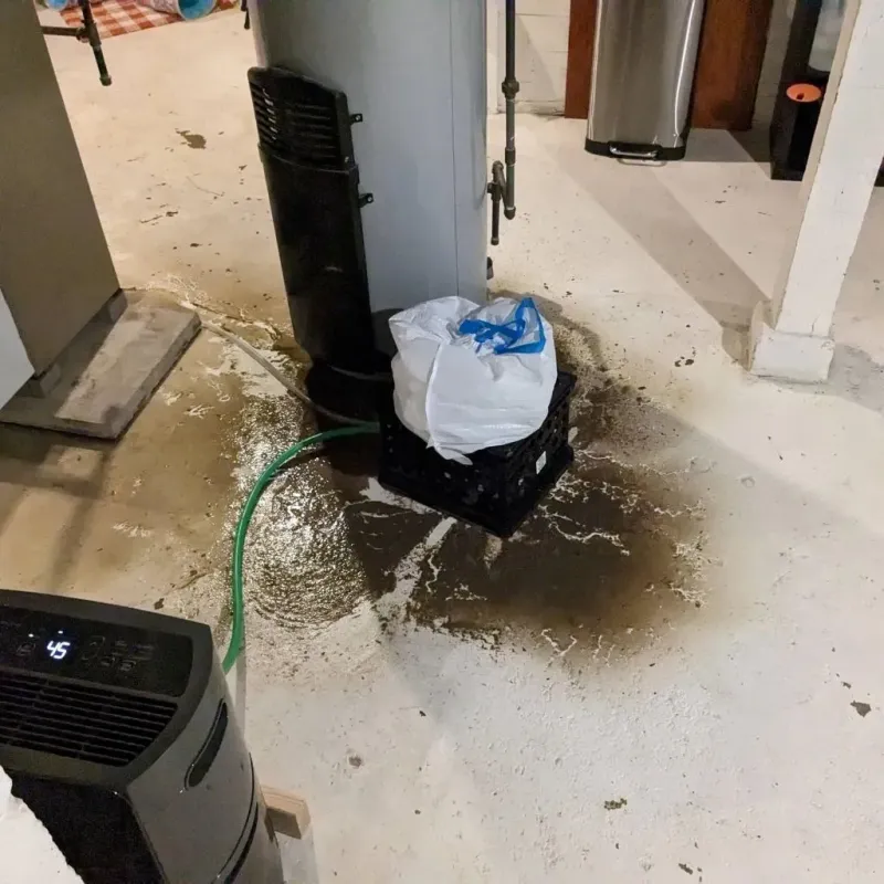 Sewage Backup Cleanup Service in Liberty, UT